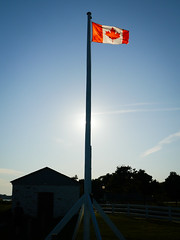 Maple Leaf Flag