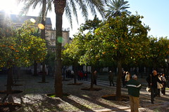 Mosque-Cathedral of Córdoba / Mezquita-Catedral de Córdoba