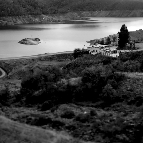 blackandwhite bw lake film monochrome century mediumformat landscape lf graflex 2x3 presscamera fieldcamera centurygraphic technicalcamera canoscan9000f