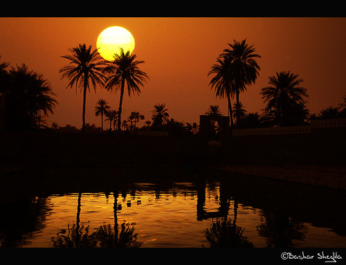 new light sunset sun lake sahara water silhouette desert year palm oasis عين ghadames غروب صحراء ليبيا 2013 واحة الفرس نخيل الليبية غدامس líbya ghasamis