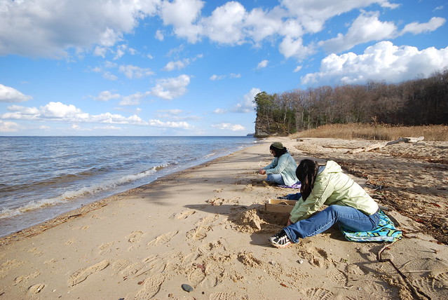 Using a sieve and our hands (borrowed from the park office) to hunt sharks' teeth at Westmoreland State Park