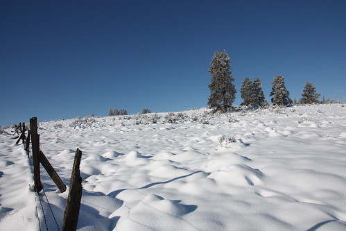 winter snow landscape washington washingtonstate umtanum ltmurraywildlifearea canonefs1585mmf3556isusmlens