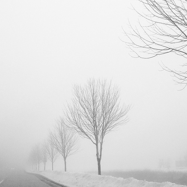 Unusual afternoon fog