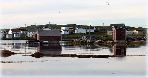 ocean old sunset sea summer sky house canada reflection water beauty newfoundland island bay wooden fishing colours harbour dusk cove stage scenic sunny calm wharf fogo tranquil tilting