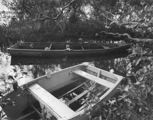 film boats kodak trix australia photograph noosa 4x5 ilford largeformat lakecootharaba gelatinsilver boreenpoint tachihara45gf