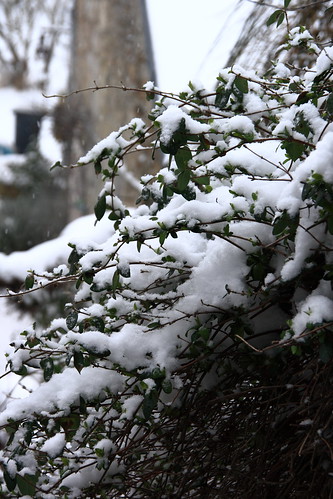 schnee snow îledefrance sneeuw neige 500views 500 brie 77 iledefrance eira seineetmarne erch over500views sneachta lechâteletenbrie châteletenbrie briehumide brieverte chateletenbrie