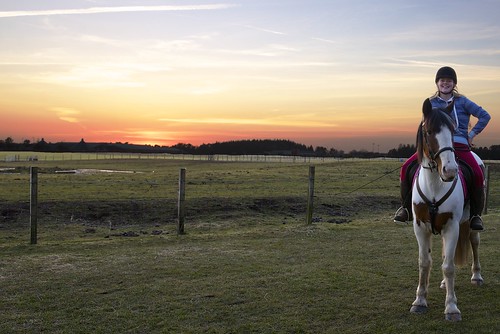 sunset horse nikon d600