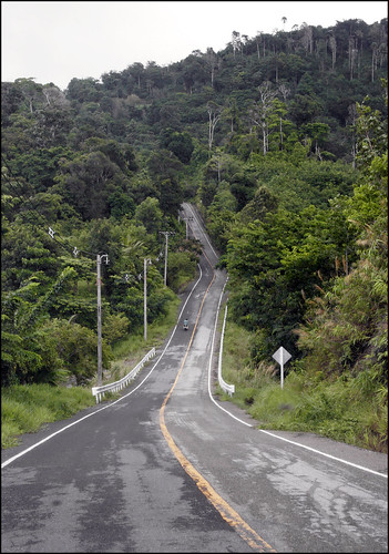 The road to the top of Radar Hill