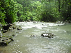 Río Fortuna