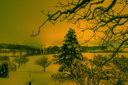 auto road schnee trees snow tree car forest landscape lights schweiz switzerland town dorf strasse wald bäume baum hdr lichter d4 kappel 4xp kantonzürich cantonofzurich kappelamalbis