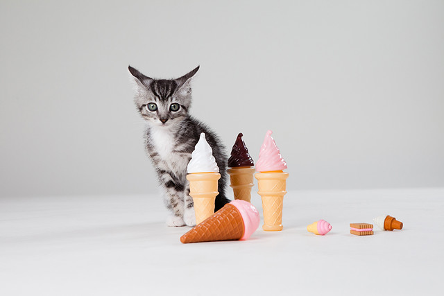 Grey Tabby Kitten with Ice Cream Cones