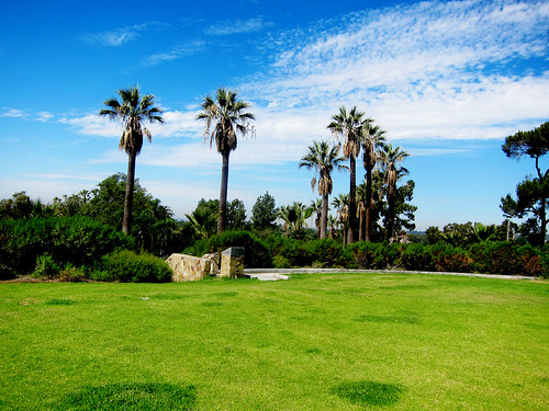 park blue trees green grass landscape day tranquility palm clear canonpowershots95