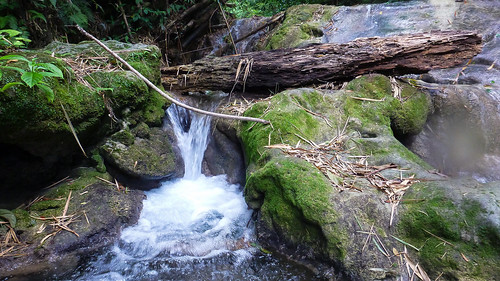island waterfall jamaica caribbean wiltshire mayfieldfalls saintjamesparish