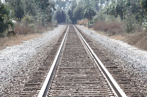 railroad landscape florida