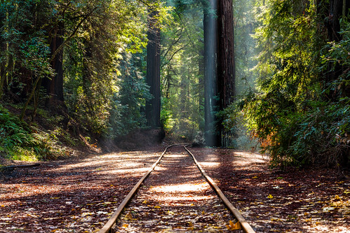 california railroad forest unitedstates adventure felton