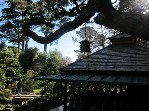 Golden Gate Park Japanese Tea Garden, San F… IMG_3236