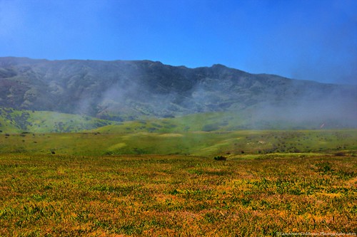 california weather fog island scenic hike nationalparkservice santacruzisland channelislandsnationalpark usnationalparks landscapephotography cavernpointtrail