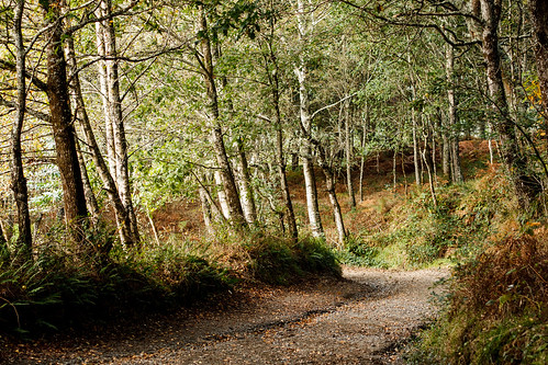 españa camino path galicia cha sendero caminodesantiago theway lacoruña peregrinación caminodesantiagoiv