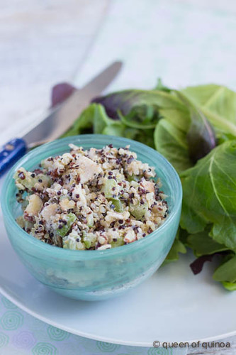 Creamy Coconut Chicken Salad via Queen of Quinoa (@alyssarimmer)
