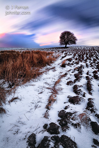 sunset snow cold tree field scotland wideangle british lonetree freshsnow furrows lowangle lanarkshire landscapephotography ploughedfield scottishlandscape minimalcolour scottishlandscapephoto