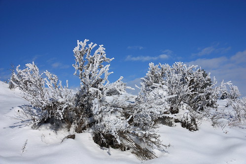 winter snow landscape washington washingtonstate sagebrush umtanum ltmurraywildlifearea canonefs1585mmf3556isusmlens