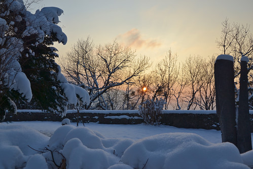 schnee trees winter sunset snow salzburg austria sonnenuntergang österreich bäume mönchsberg nikond3100