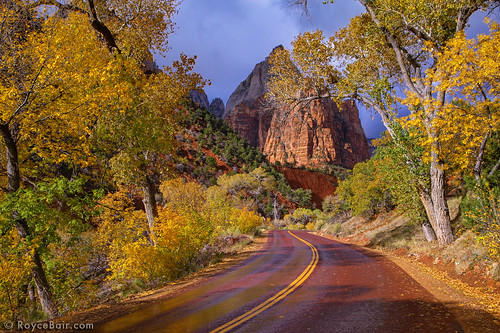 road autumn red rock utah sandstone jacob southern zionnationalpark redrock curved zions patriarchs
