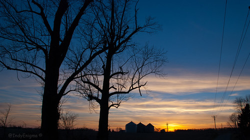 blue sunset sky tree silhouette clouds gold utilitypole grainbin