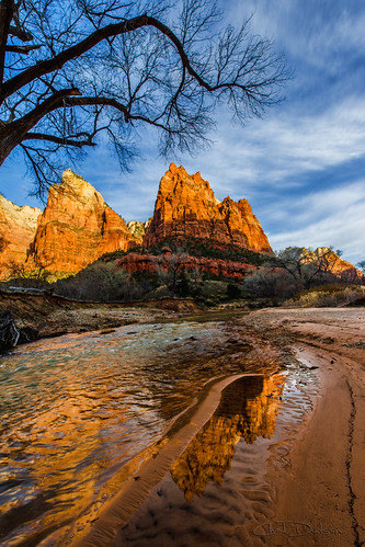 morning winter sky mountains southwest reflection beach beautiful clouds creek forest sunrise river season landscape utah nationalpark spring sand sandstone stream butte desert jacob isaac perspective canyon erosion virgin valley zion ripples geography wilderness majestic incredible waterscape virginriver courtofthepatriarchs patriarchs