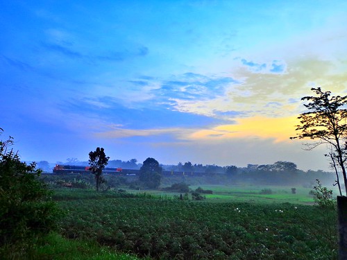 train sunrise indonesia ricefield hdr goldenhour paddyfield sawah lampung pocketcamera keretaapi matahariterbit mentaripagi lampungutara sonydscw630 davidsapta sonycybershotw630