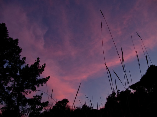 newzealand sky cloud sunrise wellington
