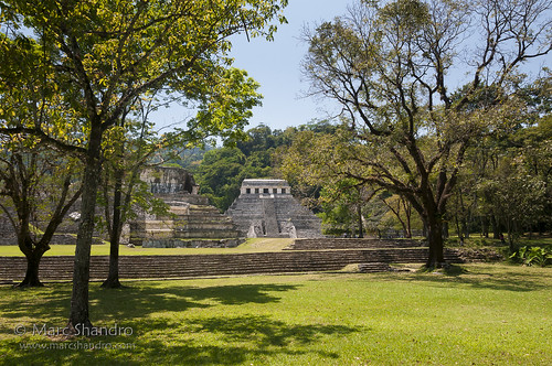 travel trees nature mexico stereoscopic 3d warm view sunny bluesky mayanruins palenque tropical northamerica traveldestination