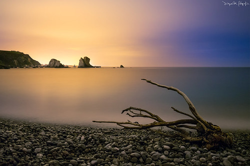 arbol mar asturias playa olympus nubes nocturna rama roca cudillero silencio peña omd oceano piedra cantabrico largaexposicion contaminacionluminica em5 gavieru