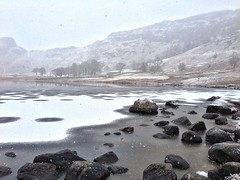 Snow on Blea Tarn [13/365]