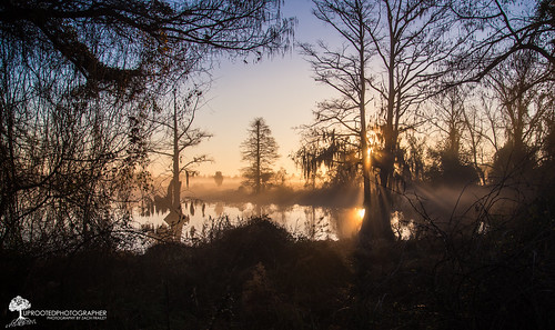 reflection water weather misty fog sunrise nc nikon moody foggy northcarolina swamp rays d600 newbern