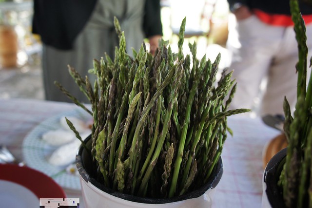 italian spring foods wild asparagus pasta