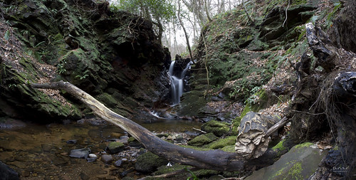 trees green water landscape scotland waterfall log scenery rocks stones wideangle photomerge ayrshire fairlie mygearandme
