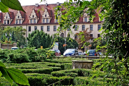trees garden poland polska historicbuilding drzewa ogród zamekpiastówśląskich zamekwbrzegu castelofbrzeg budynekzabytkowy