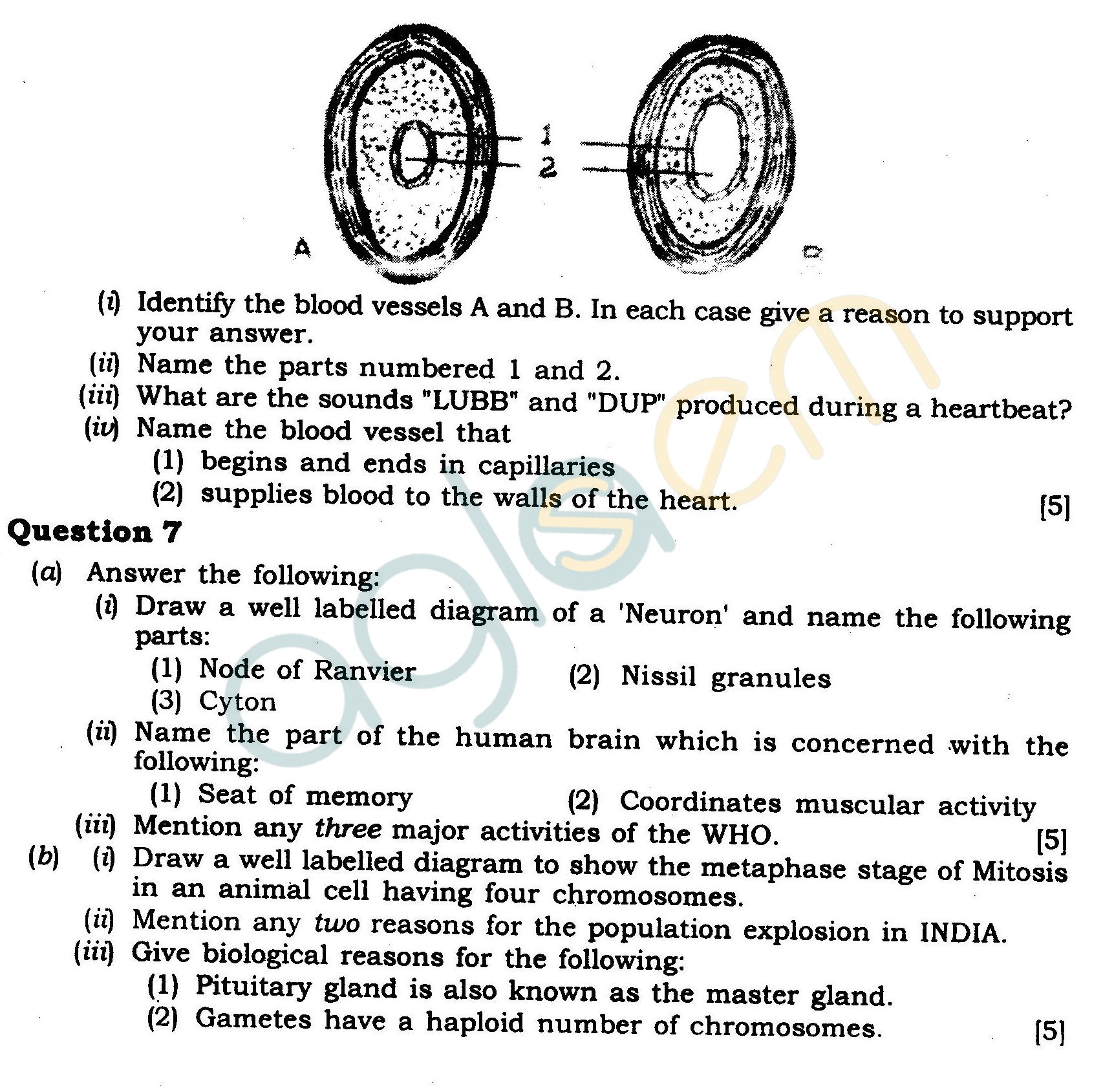 ICSE Class X Exam Question Papers 2012 Biology (Science Paper-3)