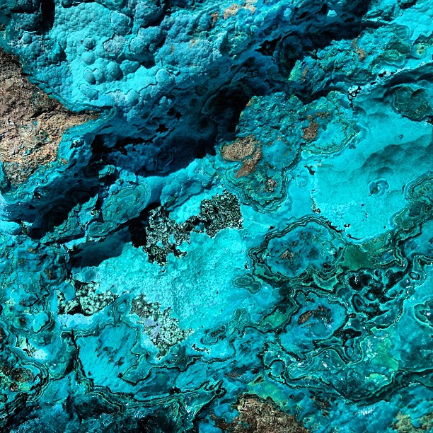 #chrysocolla #blue #colorinspiration #turquoise #rock #stone