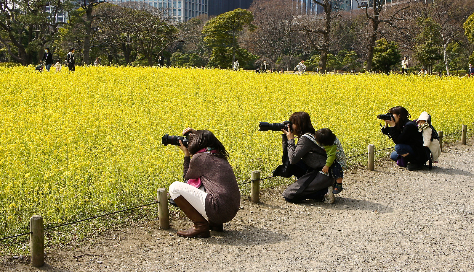 Japanese moms with their camera gear at Hamarikyu gardens, Tokyo