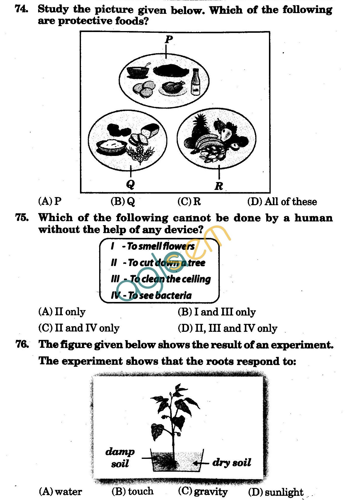 NSTSE 2009 Class IV Question Paper with Answers - Science