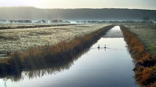 morning mist water sunrise river glastonbury somerset drain swans moors greylake slm somersetlevels rhyne sowy middlezoy othery levelsandmoors kingssedgemoor