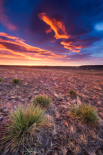morning winter favorite orange clouds sunrise flora colorado purple unitedstates boulder prairie yucca grasslands