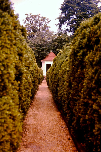 garden shrubbery hut historic green pathway tree colonial walkway history historical landscaping