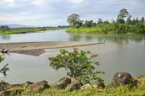 rio del fiume panama provincia paesaggi toro bocas sixaola