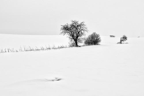 schnee trees winter snow monochrome landscape deutschland geotag bäume ries schwaben 1445mm 2013 em5 flvonmirikr