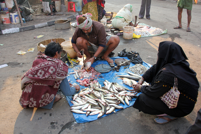 Fish stall in Kolkata, India