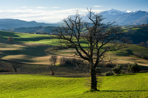 trees winter snow mountains tree grass landscape shadows hill valley fields marche sibillini