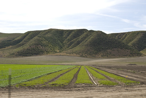 california rural geotagged nikon april agriculture 2011 d80 nikond80